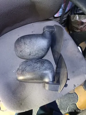 Suzuki Alto Side Mirror 2016
