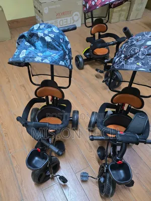 Kids Tricycle Bike With Canopy**(