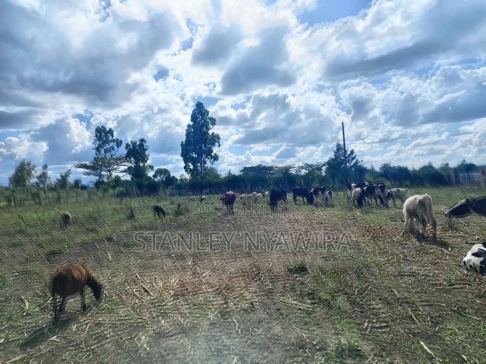 4 Acreas Nanyuki Gobit