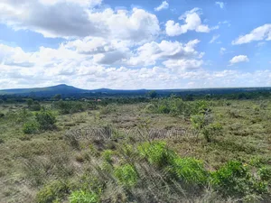 4 Acreas Nanyuki Gobit