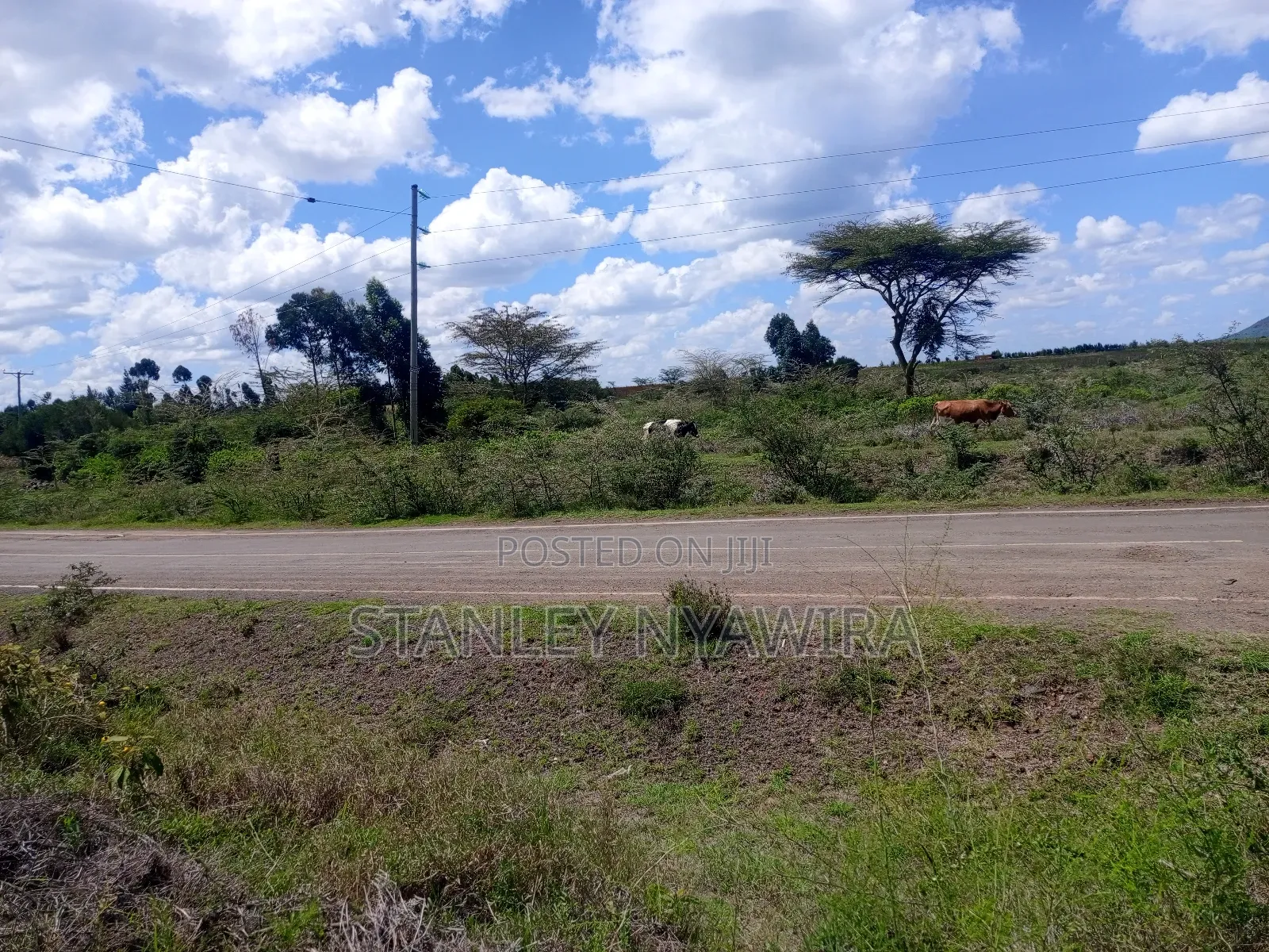 4 Acreas Nanyuki Gobit