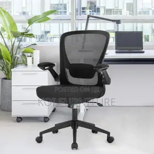 Office Chair; Koi Orthopedic Mid Back Chair