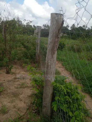 1 Acre Prime Plot, by the Road at Tsimba Town Near Kwale Town.