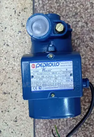 Pedrollo Water Pump 0.5hp / Electric Pedrollo Water Pump Pkm60