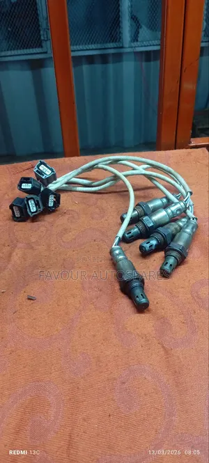 Oxygen Sensors for Nissan