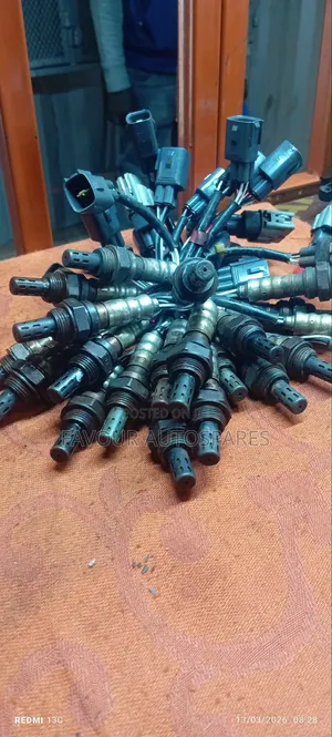 Oxygen Sensors