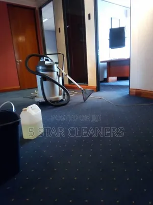 Carpet Cleaning and Upholstery/ Sofa Cleaning