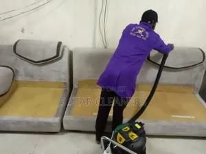 Fast Sofa Cleaning Services