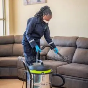 Sofa Cleaning Using Wet and Dry Vacuum Cleaner