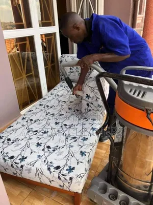 Quick Sofa Cleaning Services