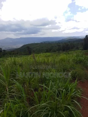 2 Acres Gitithia, Uplands