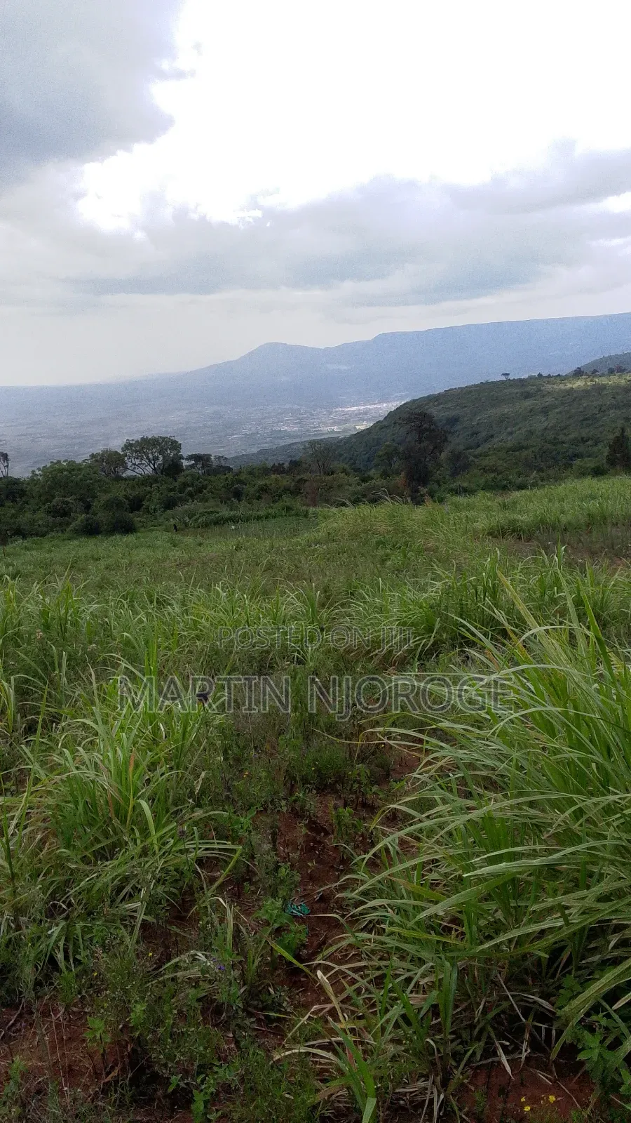 2 Acres Gitithia, Uplands