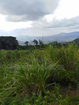 2 Acres Gitithia, Uplands