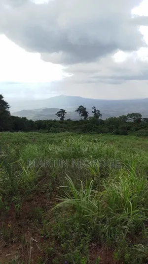 2 Acres Gitithia, Uplands