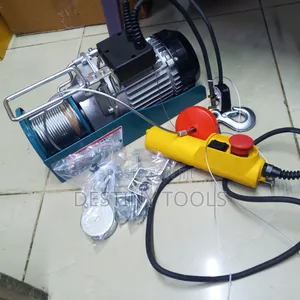 Total Electric Hoist 500kg