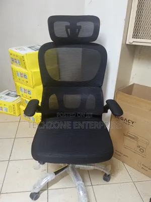 Orthopedic High Back Mesh Office Chair ~ Headrest, Lumbar Support 