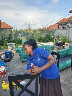 Available Sofa Cleaning Services Around