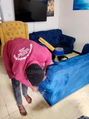 Perfect Sofa Cleaning /Cleaners