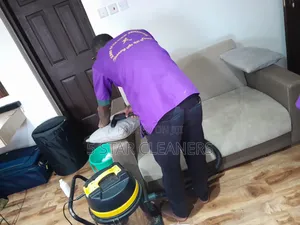 Cleaning Services: Couch, Upholstery and Sofa Cleaning