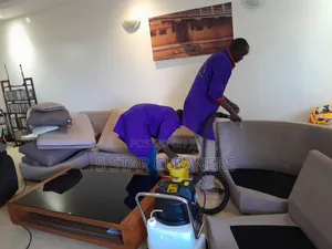 House Cleaning Services _Sofa Cleaning Services