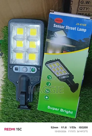 Sensor Street Lamp