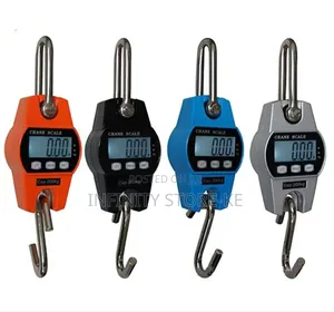Weighing Scale 300 Kg / Crane Scale 300 Kg