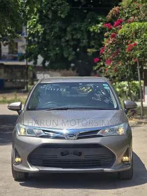 Toyota Axio 2018 Gray
