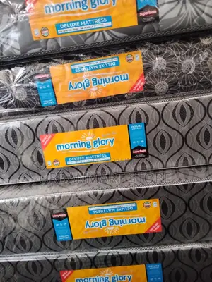 Morning Glory 4×6×10 Mattress, Medium Density, Extra Comfort