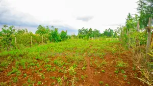 Prime Residential Plot for Sale in Kikuyu, Thigio.