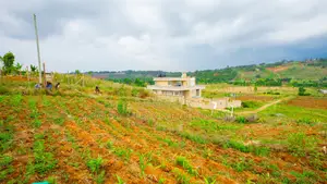 Residential Serviced Plots for Sale in Kikuyu, Nguirubi - Thigio