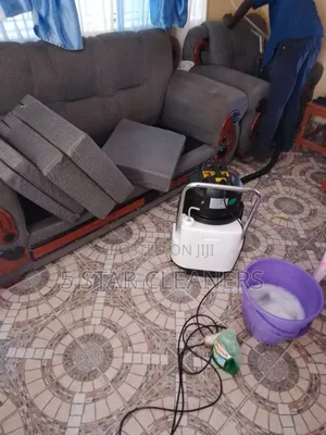 Carpets and Sofa Spot Cleaners