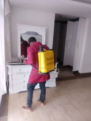 Fumigation Services/Pest Control Cleaning of Sofas