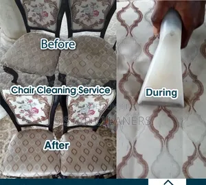 Effective Eco Friendly Sofa Cleaning Services