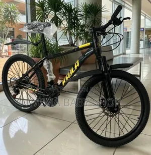 21speed/Heavy Duty Mountain Bike Size 24"