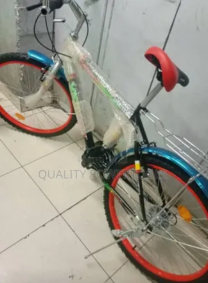 Victory Mountain Bike Size 24"