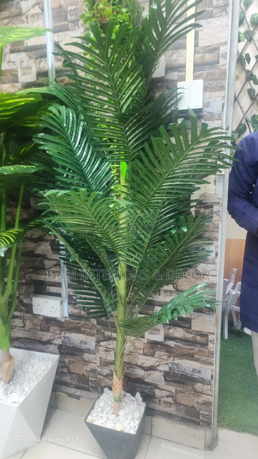 Green Leafed Artificial Plants for Office Setting and Hallway