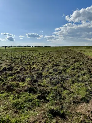 Farm Land for Sale in Laikipia With a River Front