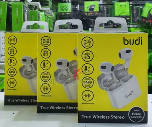 Budi Ep17w True Wireless Stereo Earbuds