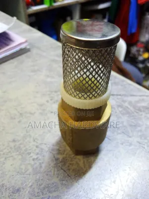 1/2" Foot Valve