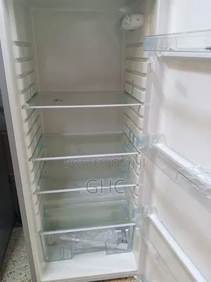 Rebune Refrigerator (Very Affordable)