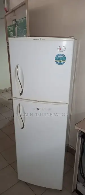 Fridge Repair
