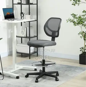 Office Chair: Receptionist Ergonomic Chair