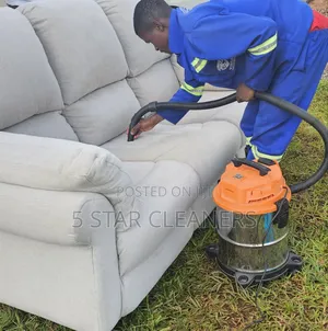 Best Sofa Cleaners and House Cleaning