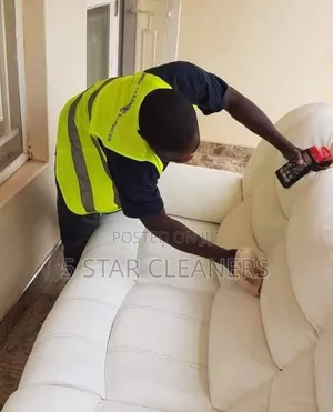 Regular Revolution Sofa, Carpets Cleaning and Fumigation