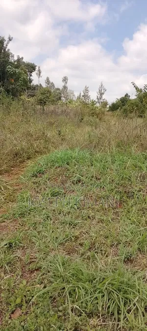 2.5acre Land With a River Down Stream