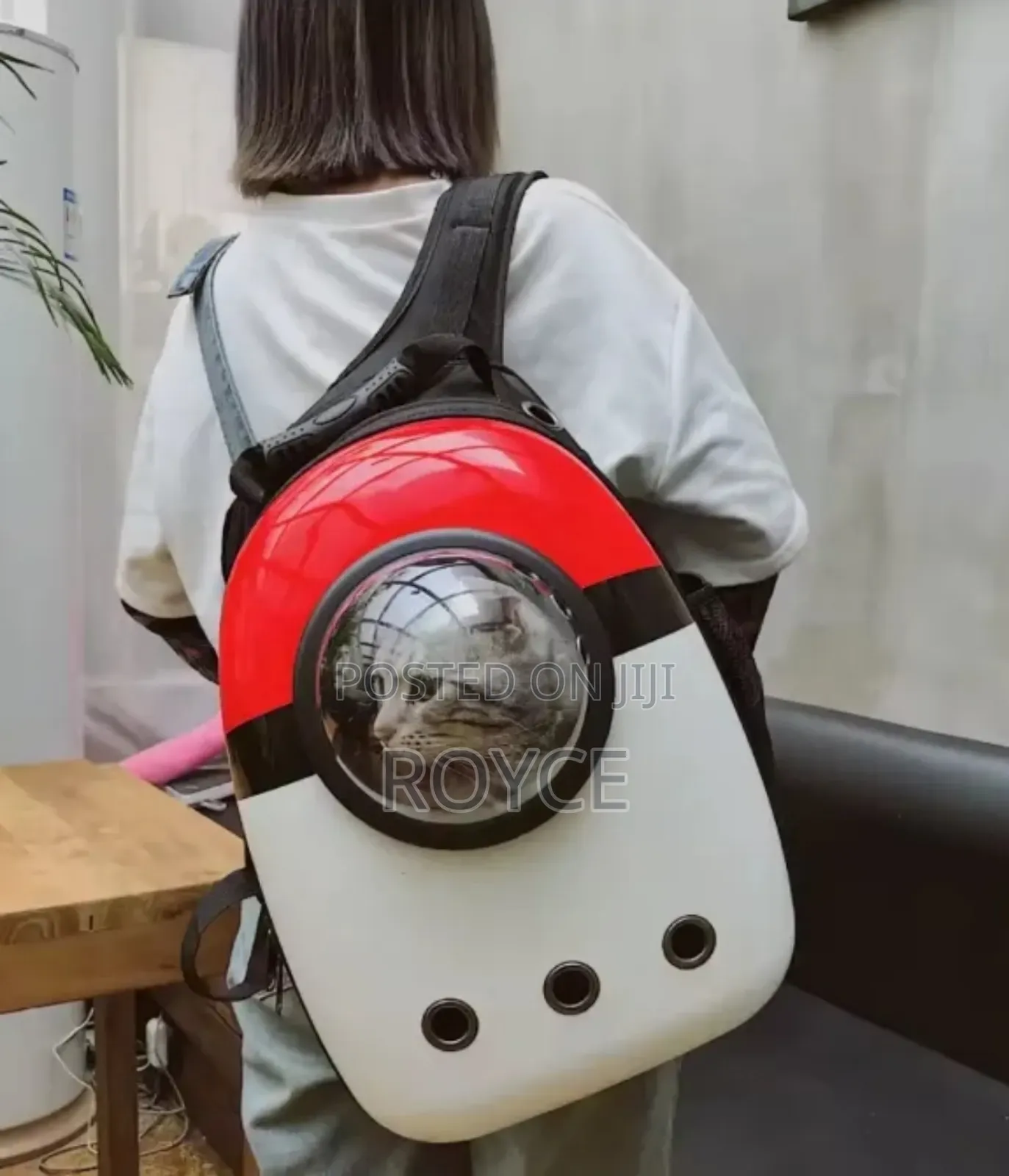 Space Capsule Pet Carrier Backpack