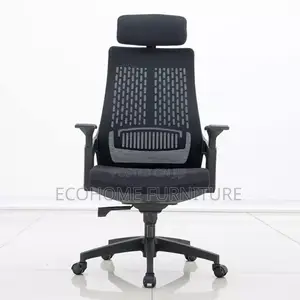 Premium Ergonomic Mesh Office Chair