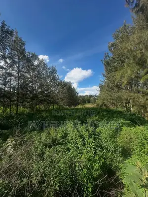 Half Acre Plot for Sale in Mushroom Gardens,Off Kiambu Rd