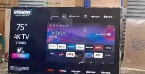 14 Months Vision 65 Inch 4 K Television v Series