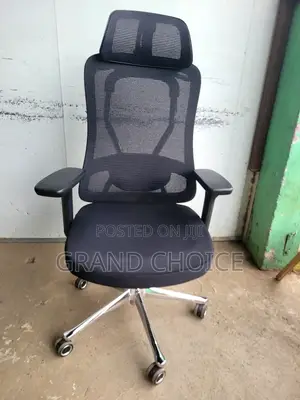 Office Orthopaedic Chair